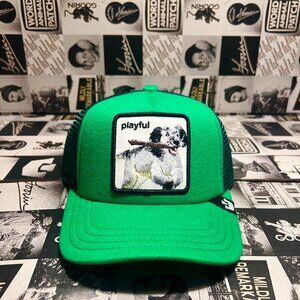 Authentic Goorin Bros Playtime Dog "playful" Green Hat (KIDS) NWT